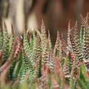 행복한 홈패션 이미지