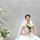 노보텔 앰배서더 강남 이미지