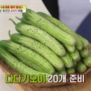 오이지 티스토리