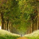 절영종합사회복지관 이미지