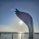 대한민국 헌법 제1조 이미지