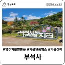 과수원민박 | [경북 영주] 영주 가볼만한 곳, 부석사 방문 후기, 가을 단풍이 절정! 토요일 오후 방문 후기