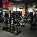 머슬피플 이미지