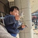 (주)이랜드파크 켄싱턴리조트 경주 | [25.11.08-11] 로로가족 여행기 / 경주&amp;대전