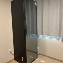 세탁 없이도 옷을 청결하게, 비스포크 AI 에어드레서 여름철 후기 사용 후기