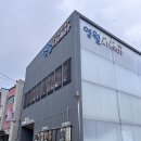 영월여행 영월시네마 동강탑스텐시스타 에그카페 동강빌리지