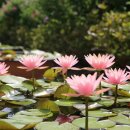 한림공원 이미지