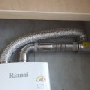 사파동250 이미지