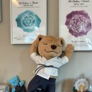 수련 | 등촌동요가 정통 요가원 ‘아쉬토요가’ 일주일 체험 수련 솔직 후기!