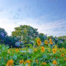 만나가든 이미지