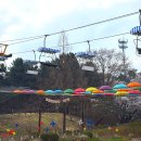 대공원역2번출구 | 서울대공원 벚꽃 주말 오픈런 후기ㅣ 리프트 가격 대기시간 주차 꿀팁까지 총정리