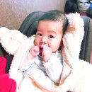 샤브50 김제점 | 부안 근교 김제 무한리필 샐러드바 샤브샤브 맛집 샤브50 내돈내산