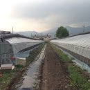 국대농장 이미지