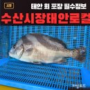 태안 안면도 횟집 회포장 수산시장 VS 하나로마트 VS 태안로컬 내돈내산 솔직후기