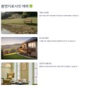 푸른숲과일 (옥길) | 영자와 세리 &#39;남겨서 뭐하게&#39; 촬영지! 노닐다 팬션 위치 가격 예약법 완벽정리