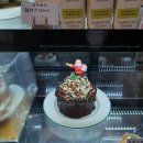 코끼리비스켓