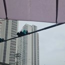 (주)육미제당 이미지