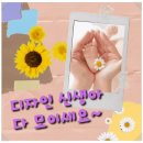 [리뷰]캔바로 디지털 디자인 끝짱내기 줌으로 원데이 클래스 에셀나무님 강의 후기