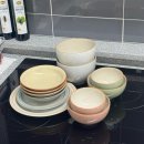 롯데그릇 | 이천 롯데프리미엄 아울렛 (덴비/빌보) 그릇세트 할인 후기