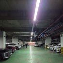 춘천서부시장 | 춘천 인투빈헤어 찐후기, 내 머리 상태에 딱 맞는 '인생 맞춤 펌' 찾았어요!!!