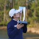 비고리조트 14 이미지