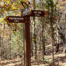 한숲하늘근린공원 이미지