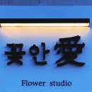 꽃안애 이미지