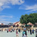 곤지암미스클라라 | [캐리비안베이] 할인 오후권 놀이기구 줄서는 꿀팁 풀파티 라인업