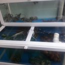 계명회센타 이미지