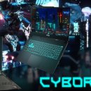 햇빛 찬란한 그 길 이미지