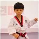 프리미엄 태권마루 태권도장 이미지