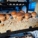 금빛농장 이미지