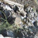 투구봉가든 이미지