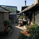 하빈농업협동조합동곡지점 | 대구 동곡 / 구수하고 담박한 동곡칼국수, 암뽕 곁들이는 맛 ... &#39;하빈민들레손칼국수&#39;