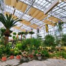 일월수목원전시온실 이미지