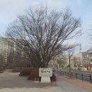 꽃우물공원 이미지