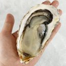 주식회사 일품 이미지