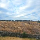 체크 인 제주 | 포레스텔라 인 제주 후기, 아이랑 가기 좋은 브런치카페