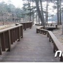 (주)초당산업 머니투데이