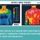 라파셀