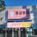 남지애견샵 이미지