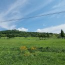 경주숲속생명의원 이미지