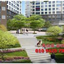 선광로즈웰A 이미지