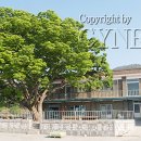 동강리 마을회관 이미지