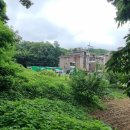 안산김씨 사재감정공파묘역 이미지