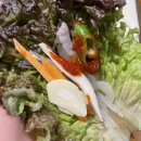 오징어나라(단관점) | 원주 단관택지 맛집: 안주로 딱인 오징어회는 ‘오징어나라’