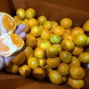 태연농장 이미지