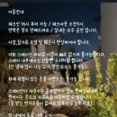 스테이 잔다 이미지