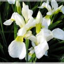 소소한 행복 이미지