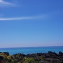 제주포인트투어 이미지